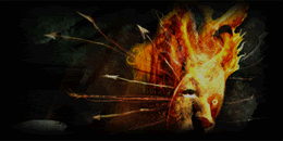 Mysoace Add Banner