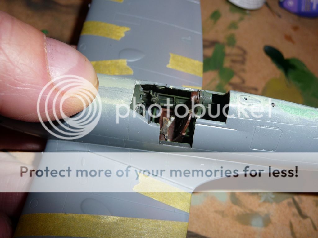 Posted Image