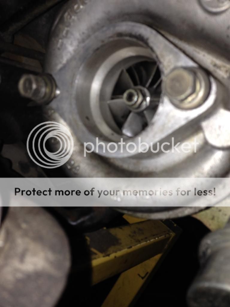  photo 8547B94A-76FD-4400-8937-6ACDED4BC082.jpg