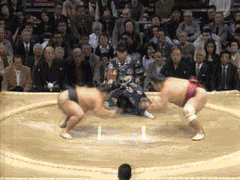 SumoFight.gif