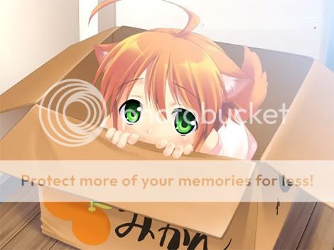 Forum Image: http://i644.photobucket.com/albums/uu167/koibi_2009/mikan.jpg