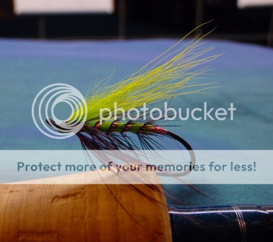 Posted Image