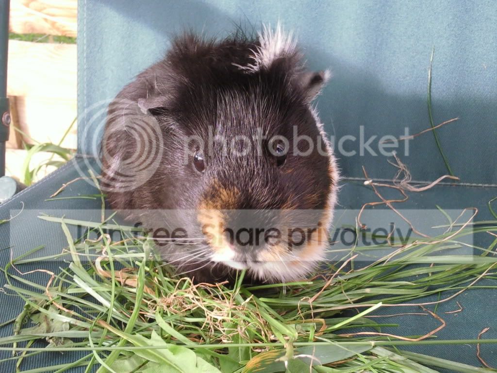 Photo007.jpg