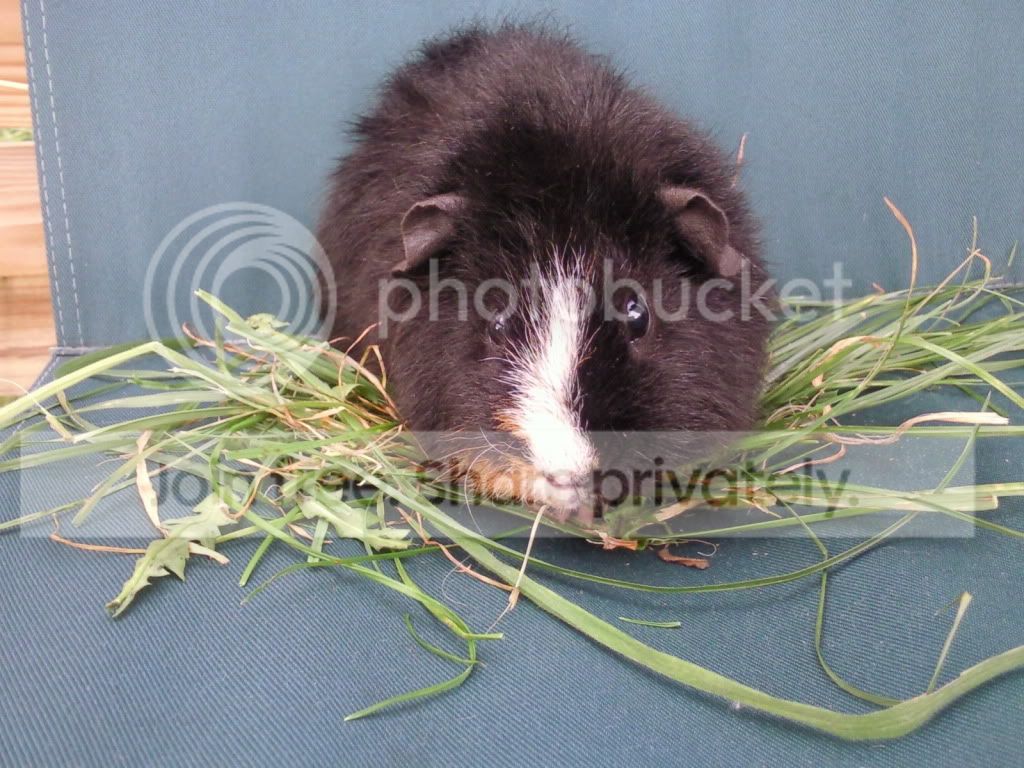 Photo104.jpg